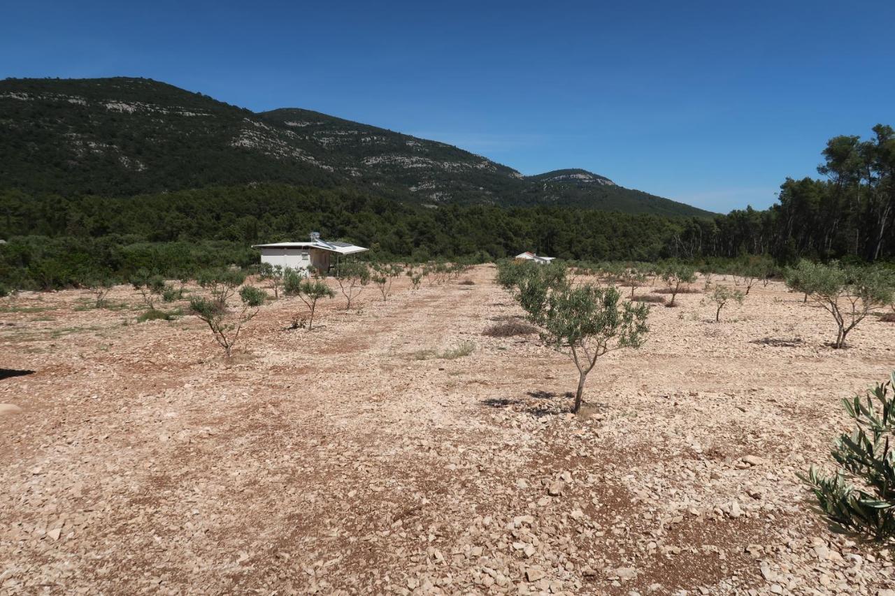 Вилла Robinson Olive Tree Huts Cara Экстерьер фото